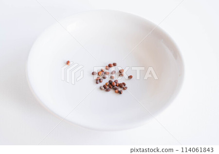 辣蘿蔔籽 114061843