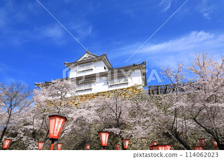 Tsuyama Castle: Bitchu Turret and cherry blossoms in full bloom Tsuyama Castle: Bitchu Turret and cherry blossoms in full bloom 114062023