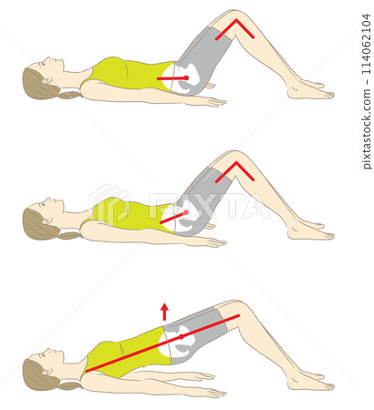 Shoulder bridge, woman in pilates pose 114062104