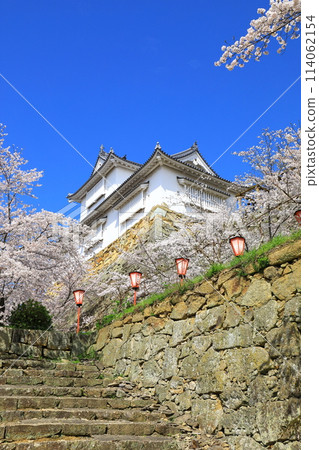Tsuyama Castle: Bitchu Turret and cherry blossoms in full bloom 114062154