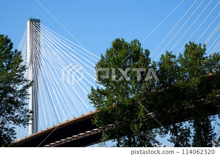 port mann bridge canada over the Fraser River in BC bottom side view closeup zoom in camera Port Mann Bridge Taken in Port Coquitlam, Greater Vancouver, British Columbia, Canada 2023 port mann bridge canada over the Fraser River in BC bottom side view closeup zoom in camera Port Mann Bridge Taken in Port Coquitlam, Greater Vancouver, British Columbia, Canada 2023 114062320
