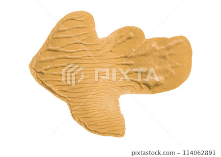 Orange brush isolated on white background. golden apricot color 114062891