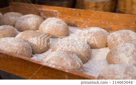 Wheat dough shaped into loaves arranged in rows on the table before baking Wheat dough shaped into loaves arranged in rows on the table before baking 114063048