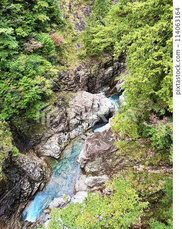 閃耀在新綠中的溪谷 114063164