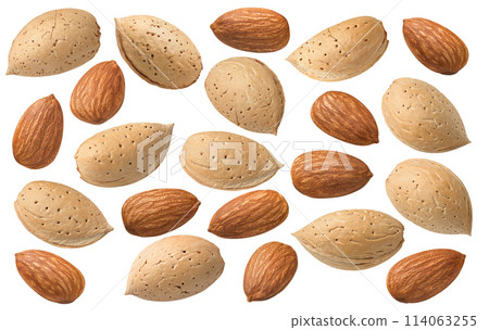 Peeled and whole almond nuts set isolated on white background Peeled and whole almond nuts set isolated on white background 114063255