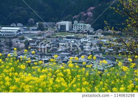 空中的油菜田和麵包超人博物館的遠景（高知縣香美市河北町Arise） 114063298