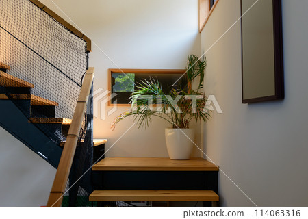 住宅建築的樓梯平台、觀賞植物和照明計劃 114063316
