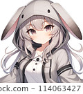 Hooded girl with rabbit ears 114063427