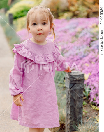 Portrait of beauty child girl in blooming summer garden or park. Portrait of beauty child girl in blooming summer garden or park. 114063844