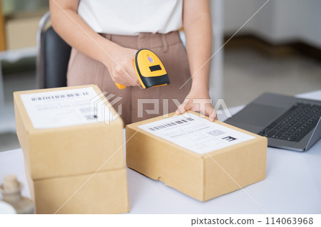 Young business online woman scanning package label with barcode reader at storehouse. 114063968
