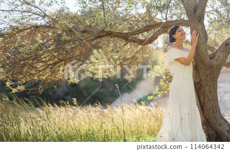 Beautiful Asian young woman in white dress outdoor near olive tree. embracing fresh air and engaging in outdoor activities. Friluftsliv concept means spending as much time outdoors as possible Beautiful Asian young woman in white dress outdoor near olive tree. embracing fresh air and engaging in outdoor activities. Friluftsliv concept means spending as much time outdoors as possible 114064342