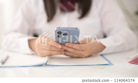 女高中生邊學習邊用智慧型手機搜索 女高中生邊學習邊用智慧型手機搜索 114064374