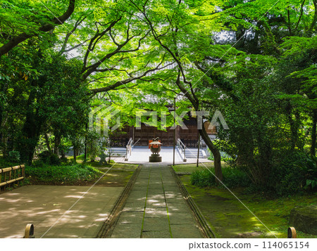 Taishoji Temple, Chofu City, Tokyo Taishoji Temple, Chofu City, Tokyo 114065154