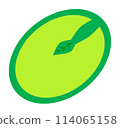 Cross section of an oyster seed 114065158
