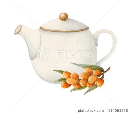 White ceramic teapot with orange sea buckthorn branch with berries watercolor isolated illustration for herbal natural tea packages, elegant party invitations, cafe menus and recipes with drinks 114065258