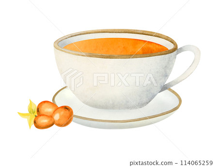 Sea buckthorn orange tea in white ceramic cup and saucer and Hippophae berries watercolor illustration isolated on white background. Hot herbal drink for healthy breakfast Sea buckthorn orange tea in white ceramic cup and saucer and Hippophae berries watercolor illustration isolated on white background. Hot herbal drink for healthy breakfast 114065259