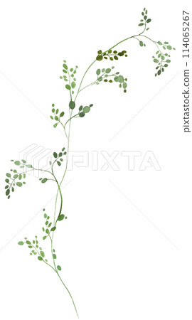 Watercolor tiny twig with green leaves isolated illustration, botanical wedding element 114065267