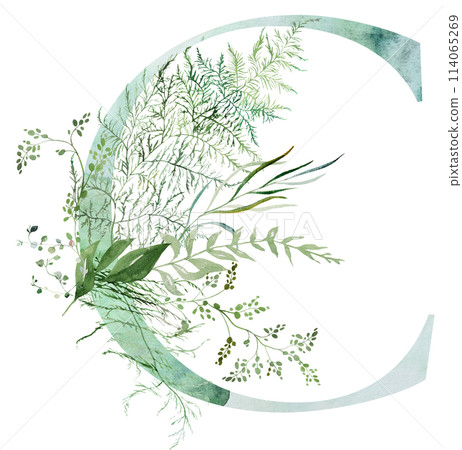 Green letter C with Watercolor whimsical tender leaves isolated illustration, wedding element 114065269