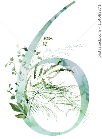 Green number 6 with Watercolor whimsical tender leaves isolated illustration, wedding element 114065271