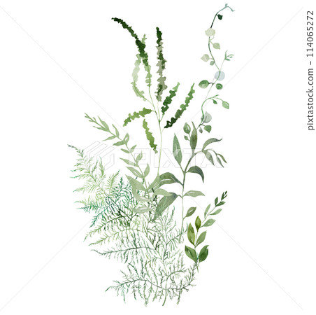 Bouquet with Watercolor fragile stems and tiny green leaves isolated illustration, botanical wedding 114065272