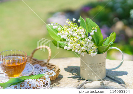 Lily of the valley picked from the garden and herbal tea Lily of the valley picked from the garden and herbal tea 114065594