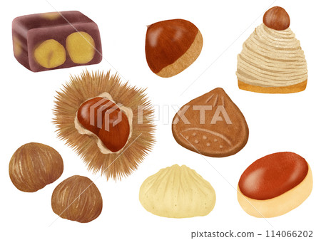 栗子糖果的水彩插圖 114066202