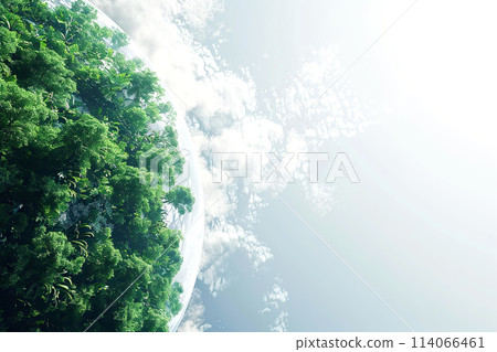Ecosystem and healthy environment concept. Aerial top view green forest with globe earth, Green planet. Save Earth, Texture of forest. Ecological travel, conservation, climate change, global warming 114066461