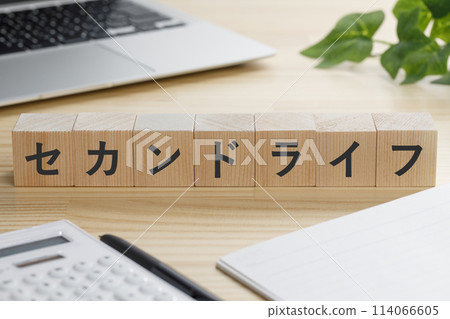 寫著「第二人生」的積木 114066605