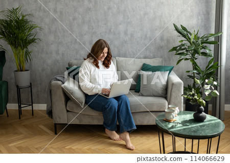 Nice beautiful woman with red hair working at the laptop sitting on the sofa at home. Concepts of education, work and comfort. 30s female working indoors. 114066629