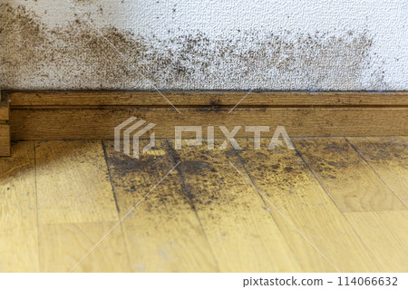 蓋賓牆壁和地板 蓋賓牆壁和地板 114066632