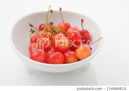 佐藤錦櫻桃高角度水平位置 114066818