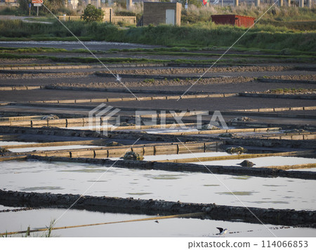 salt pans of Aveiro Portugal 114066853