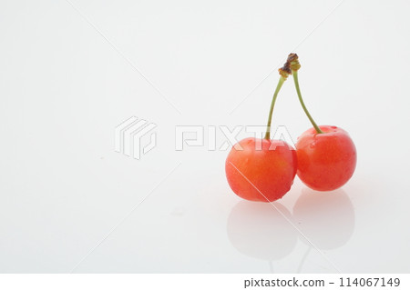 佐藤錦櫻桃水平位置 佐藤錦櫻桃水平位置 114067149