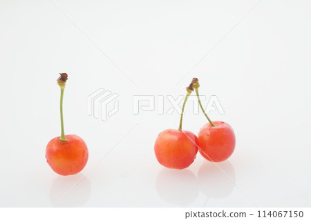 3顆櫻桃 佐藤錦 114067150