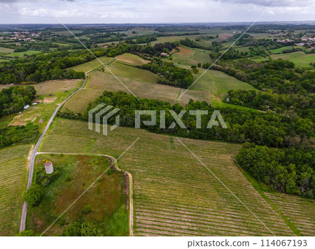 Aerial view of Bordeaux vineyard at spring under cloudy sky, Rions, Gironde, France 114067193