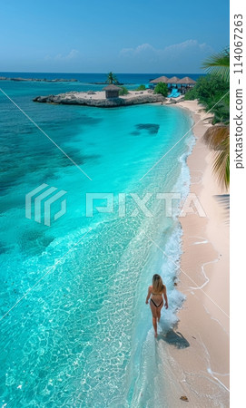 Aerial View of Beautiful Seashore Paradise. Turquouse Sea and Beige Sand Beach Idyllic Seascape. Travel and Vacation Background. 114067263