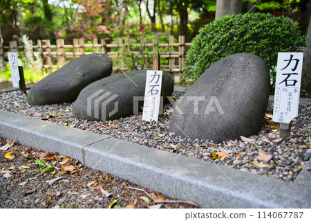 埼玉縣蕨市蕨日神社地石中央 埼玉縣蕨市蕨日神社地石中央 114067787