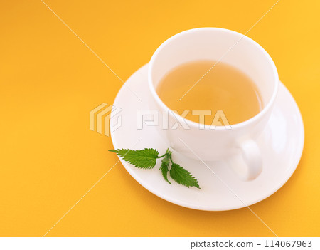 nettle tea in white cup, close up 114067963