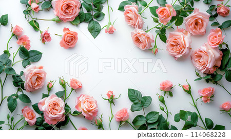 Cluster of Pink Roses on White Background Cluster of Pink Roses on White Background 114068228