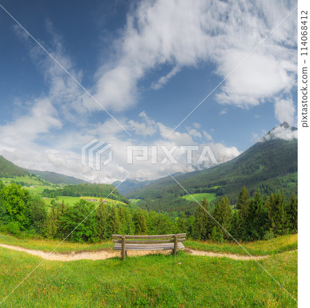 Meadow with road in Berchtesgaden National Park 114068412