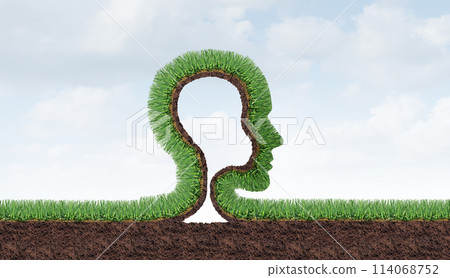 Lawn Care Advice 114068752