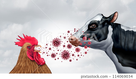 Bird Flu And Dairy Cows Bird Flu And Dairy Cows 114069034