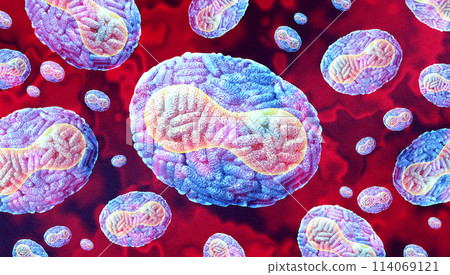 Monkeypox Virus Outbreak 114069121