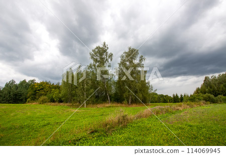 Rural landscape in summer day. Latvia, East Europe. Rural landscape in summer day. Latvia, East Europe. 114069945