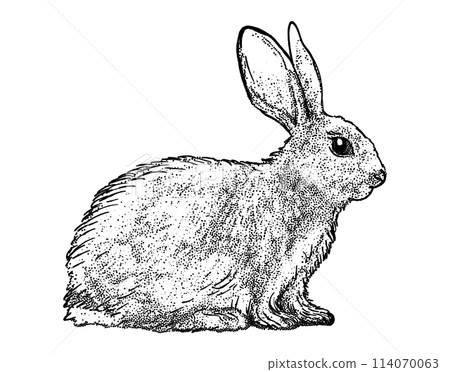Hand Drawn Sketch Rabbit for Your Design. Ink cute bunny 114070063
