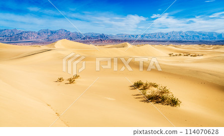 Mesquite Flat Sand Dunes 114070628