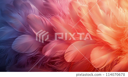 Close Up of Colorful Bird Feathers 114070678