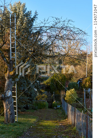 Autumn Serenity in Germany. Picturesque Villages with Vineyards Along Riverbanks. Autumn Serenity in Germany. Countryside Villages and Vineyards Along the River. autumn landscapes of Germany Autumn Serenity in Germany. Picturesque Villages with Vineyards Along Riverbanks. Autumn Serenity in Germany. Countryside Villages and Vineyards Along the River. autumn landscapes of Germany 114071047