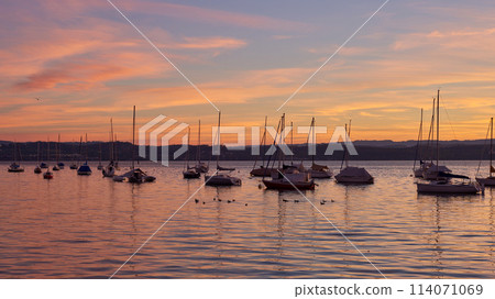 Bodensee Lake Sunrise Panorama. Morning Sunlight Over Tranquil Waters. 114071069