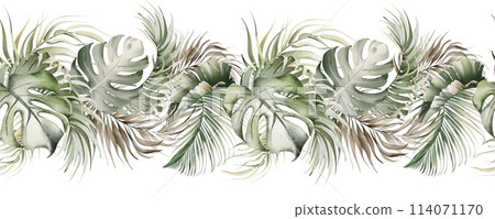 Watercolor botanical seamless tropics border. Green exotic jungle on a white background. Floral decoration for print design. Tropical fresh forest painted background. 114071170